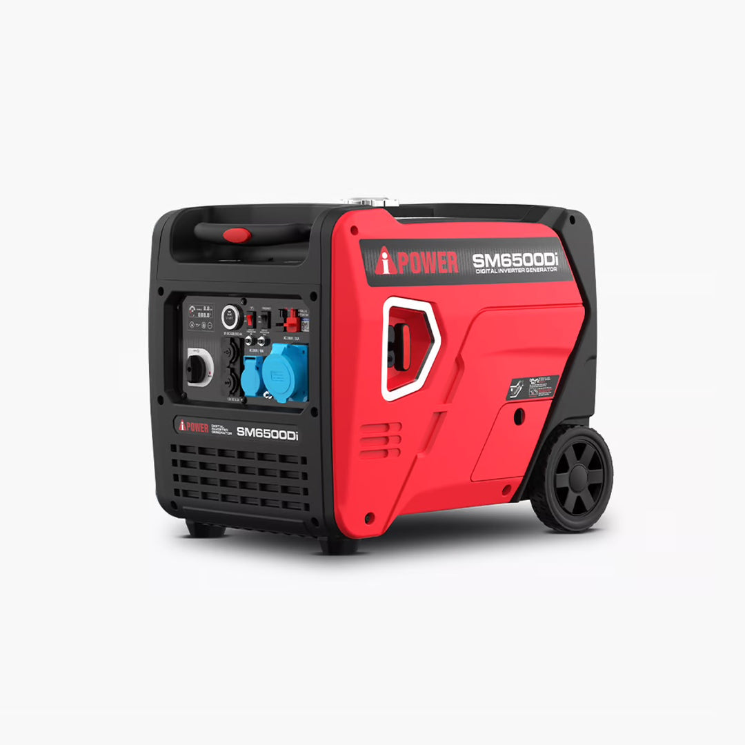 6500W INVERTER GENERATOR (RENT)