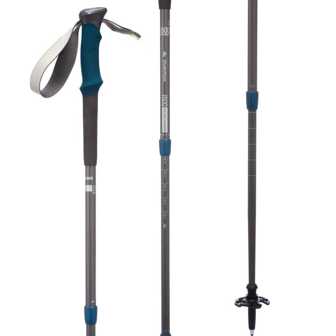 HIKING POLES (RENT)